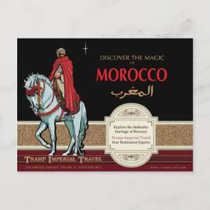 The Mounted Arab Postcard
