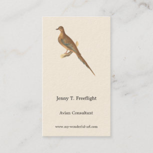 The Mourning Dove (Carolina Turtle Dove) NY Birds Business Card