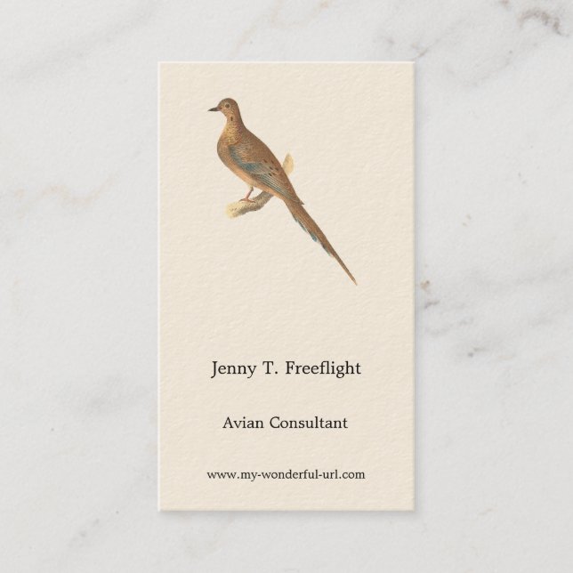 The Mourning Dove (Carolina Turtle Dove) NY Birds Business Card (Front)
