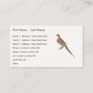 The Mourning Dove (Carolina Turtle Dove) NY Birds Business Card