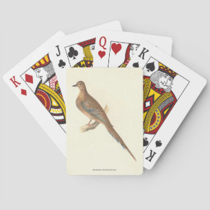 The Mourning Dove (Carolina Turtle Dove) NY Birds Playing Cards