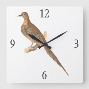 The Mourning Dove (Carolina Turtle Dove) NY Birds Square Wall Clock
