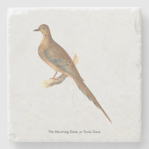 The Mourning Dove (Carolina Turtle Dove) NY Birds Stone Coaster