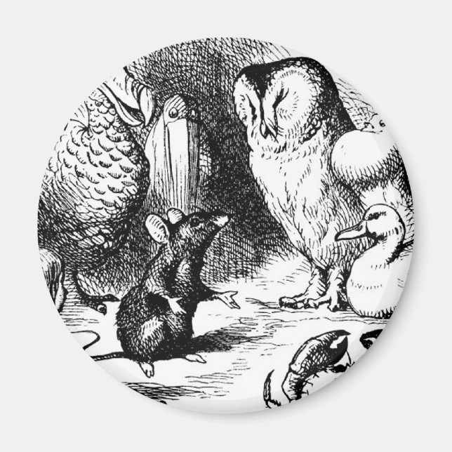 The Mouse and The Dry Story Magnet (Front)