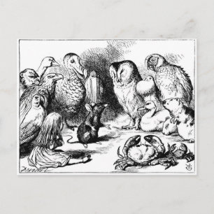 The Mouse and The Dry Story Postcard