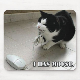 The Mouse Mat