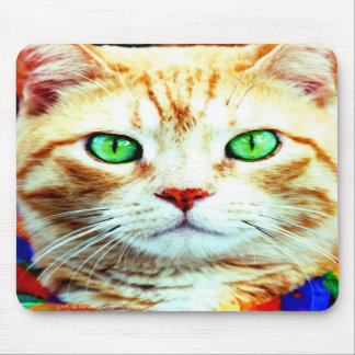 the Mouse pad