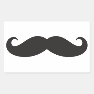 The moustache rectangular sticker