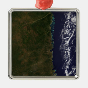 The Mozambique coast Metal Tree Decoration