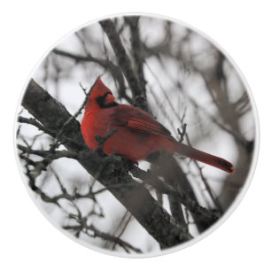 The Mr. Ceramic Knob