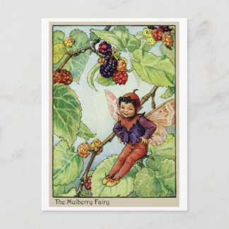 The Mulberry  Fairy Postcard