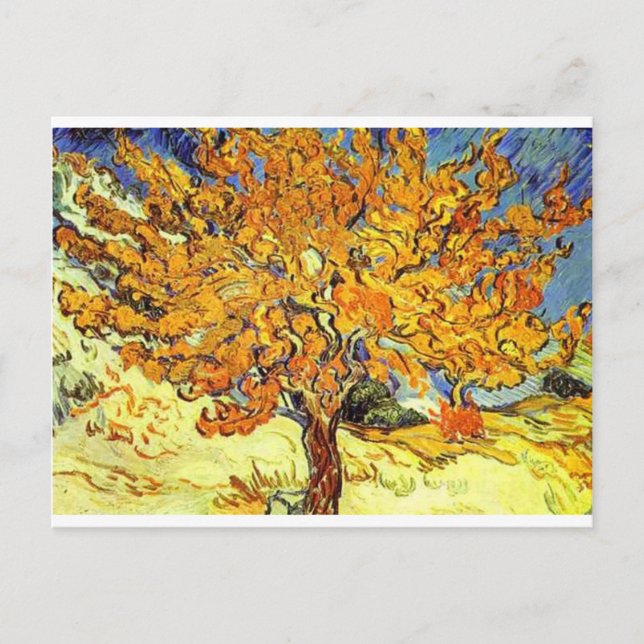 The Mulberry Tree, Vincent Van Gogh Postcard (Front)