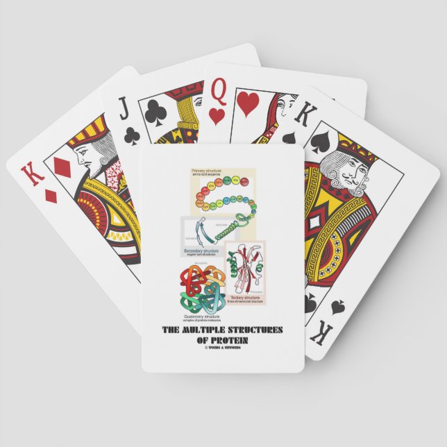 The Multiple Structures Of Protein (Biology) Playing Cards (Back)