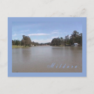 The Murray Postcard