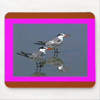 The MUSEUM Artist Series jGibneyBirds2Cocoa Beach1 Mouse Mat