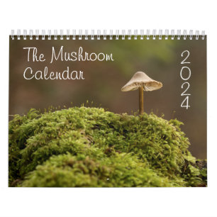 The Mushroom Calendar for 2024 Beautiful Photos