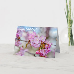 The Muted Beauty Of Sakura Blossoms In Springtime Card