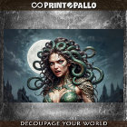 The myth of Medusa in moonlight with her snakes