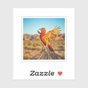 The Mythical Phoenix, Arizona 