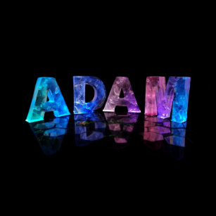 the_name_adam_in_lights_silver_plated_necklace-r1b933543056544cf99cf4f422e7870fb_fkoei_8byvr_307.jpg