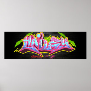 The name Hailey in graffiti Poster