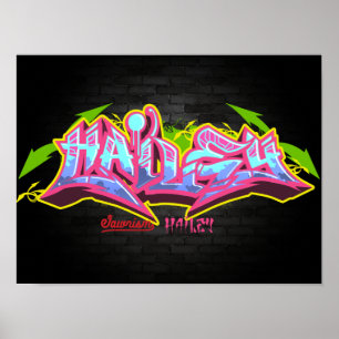The name Hailey in graffiti Poster