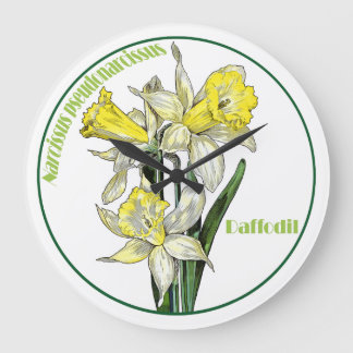 The Narcissus Large Clock