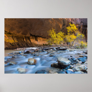 The Narrows Of The Virgin River In Autumn Poster