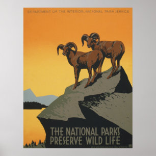The national parks preserve wild life poster