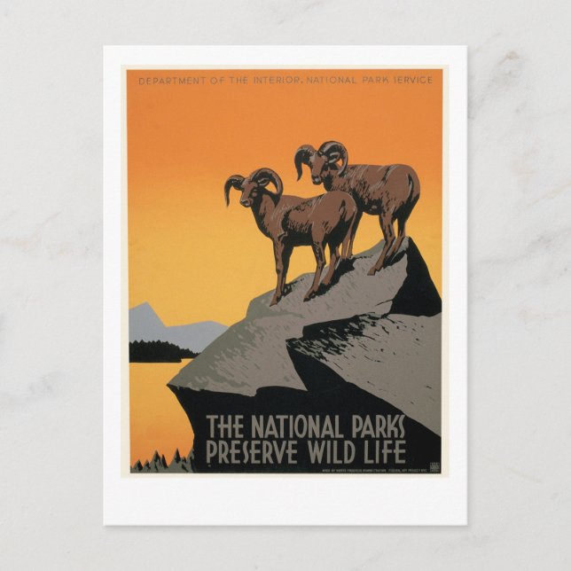 The National Parks Preserve Wildlife Postcard (Front)