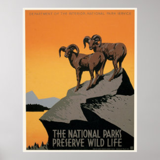 The National Parks Preserve Wildlife Poster