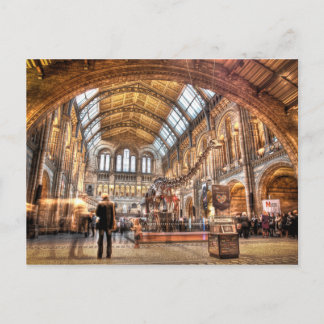 The Natural History Museum, London Postcard