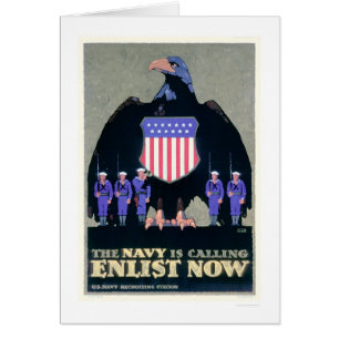 The Navy is Calling - Enlist Now (US02291A)