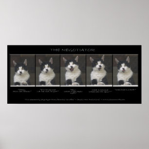 "THE NEGOTIATOR" Funny Cat Photo Sequence Poster