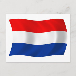 The Netherlands Flag Postcard
