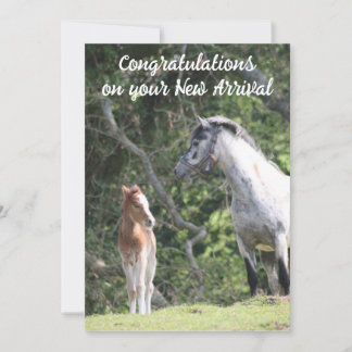 The New Arrival  Announcement