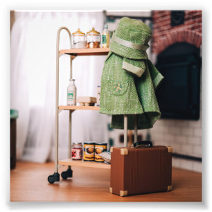 The New Arrival Photo Print