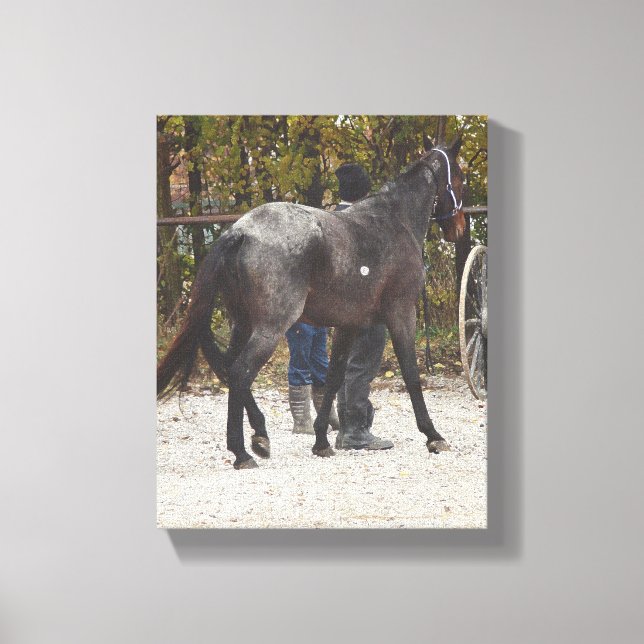 The New Horse Canvas Print (Front)