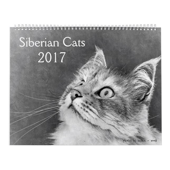 The New Siberian Cat Calendar 2017 (Cover)