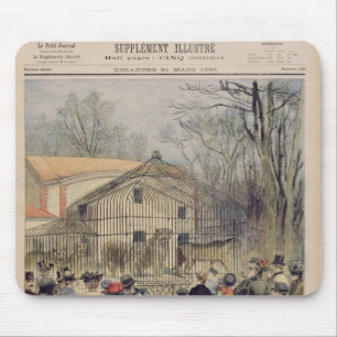 The New Wildcat House at the Jardin des Mouse Mat