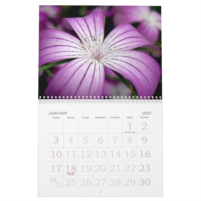 The New York Botanical Garden Calendar (Jan 2027)