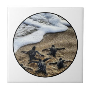 The newborn instinct tile