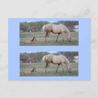 The Newcomer Bookmarkers Postcard