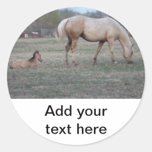 The Newcomer Stickers