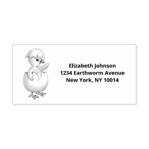 The Newly Hatched Easter Chick Rubber Stamp