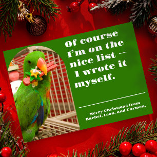 The Nice List Funny Parrot Christmas Photo Card