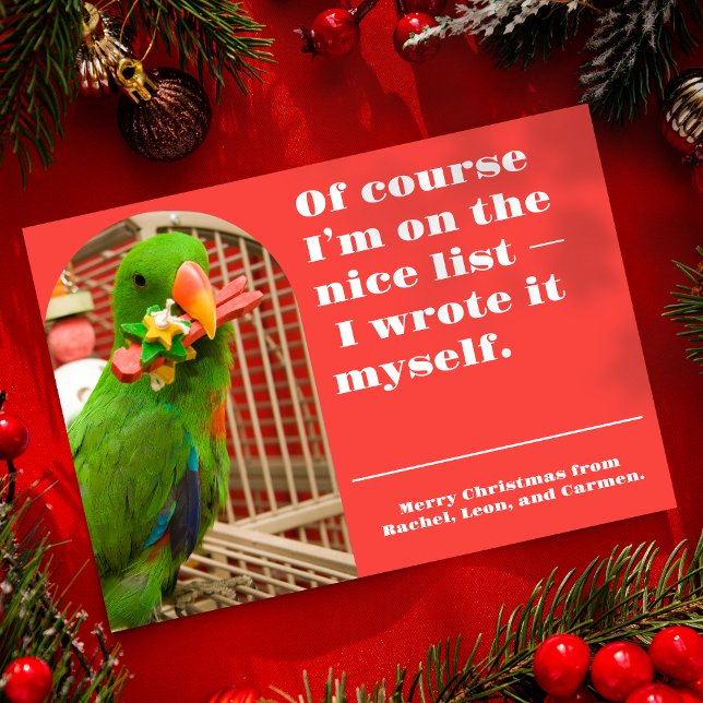 The Nice List Funny Parrot Christmas Photo Card (Creator Uploaded)