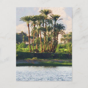 The Nile River in Egypt, Luxor Postcard