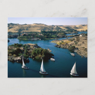 The Nile River Postcard