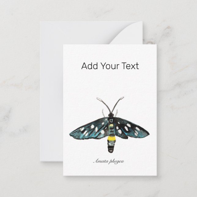 The Nine-Spotted Moth Amata phegea Illustration Card (Front)